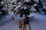 Антенный измерительный комплект СКАРД АИК 1-40Б/02 купить по низкой цене | МАКСПРОФИТ