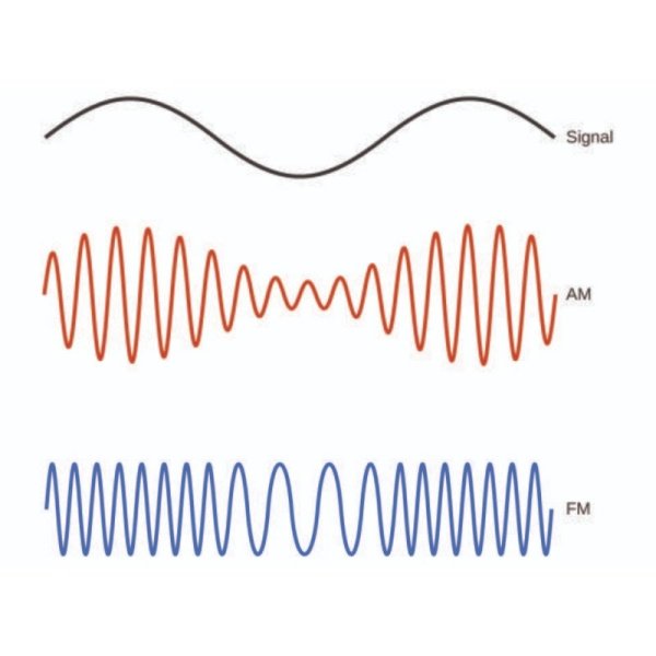 Опция аналоговой модуляции Rigol MSG5000-AMD купить по низкой цене | МАКСПРОФИТ